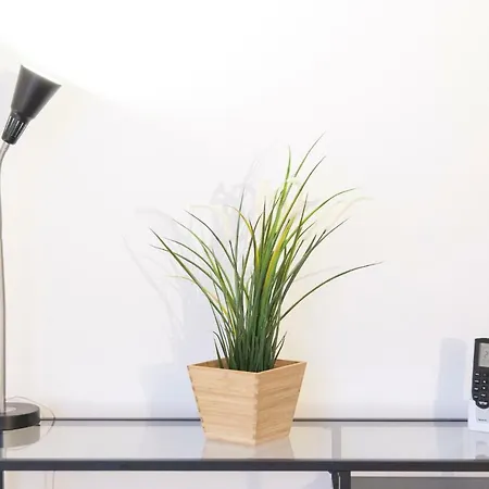 Miani House ローマ